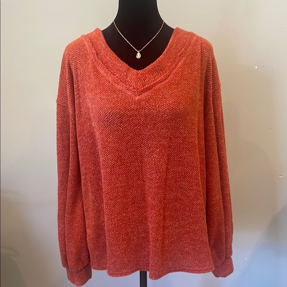 Cozy burnt orange Women's long sleeve v-neck top